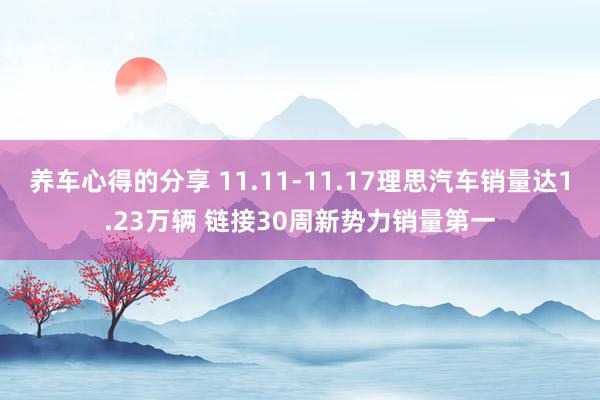 养车心得的分享 11.11-11.17理思汽车销量达1.23万辆 链接30周新势力销量第一