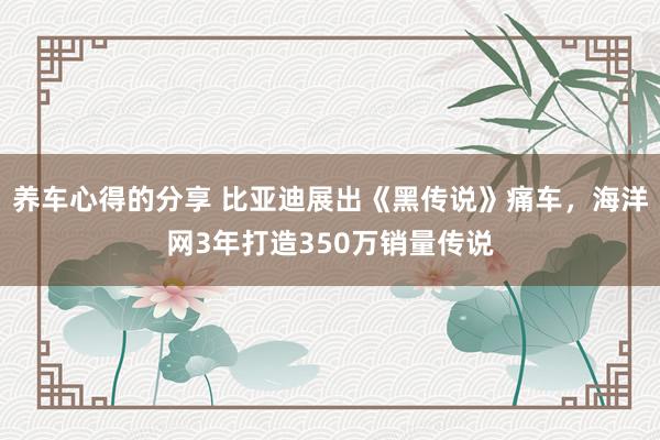 养车心得的分享 比亚迪展出《黑传说》痛车，海洋网3年打造350万销量传说