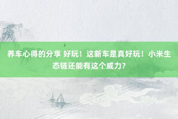 养车心得的分享 好玩！这新车是真好玩！小米生态链还能有这个威力？