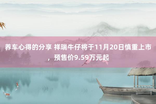 养车心得的分享 祥瑞牛仔将于11月20日慎重上市，预售价9.59万元起