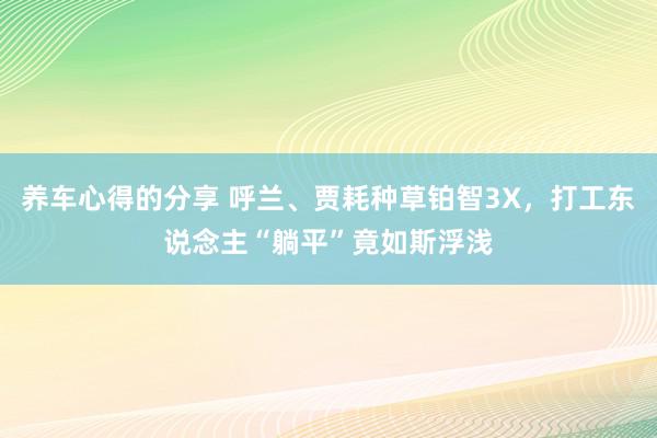 养车心得的分享 呼兰、贾耗种草铂智3X，打工东说念主“躺平”竟如斯浮浅