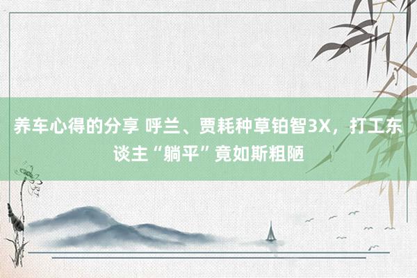 养车心得的分享 呼兰、贾耗种草铂智3X，打工东谈主“躺平”竟如斯粗陋