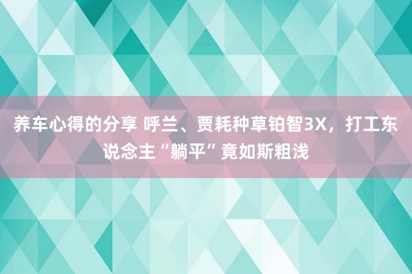 养车心得的分享 呼兰、贾耗种草铂智3X，打工东说念主“躺平”竟如斯粗浅